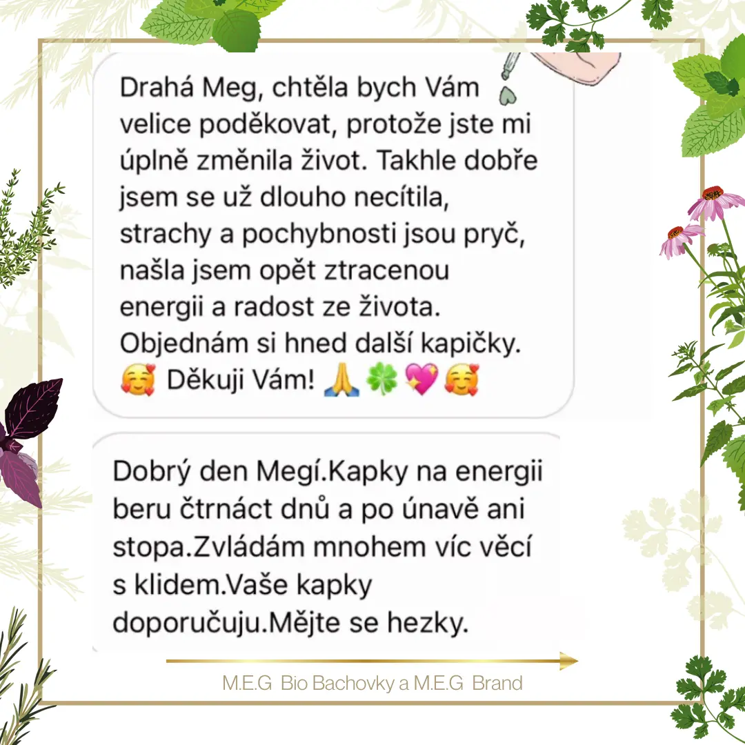 M.E.G Bio Bachovky pomohou odstranit traumata, bloky, negativní postoje a emoce, které berou energii a člověk se potom cítí unavený.