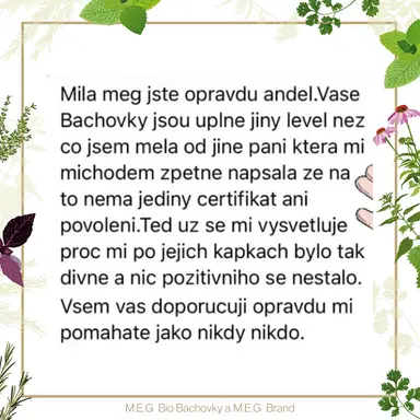 M.E.G Bio Bachovky pomohou odstranit traumata, bloky, potlačené emoce, negativní emoce a pomohou posílit sebelásku a sebedůvěru.