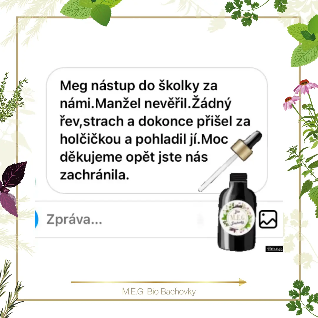 M.E.G Bio Bachovky pomohou děti připravit na změnu v jejich životě, aby nepociťovali stres a strach.