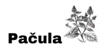 M.E.G Aroma doza obsahuje pačuli, které se využívá při nespavosti, neklidu a používá se jako přírodní antidepresivum.