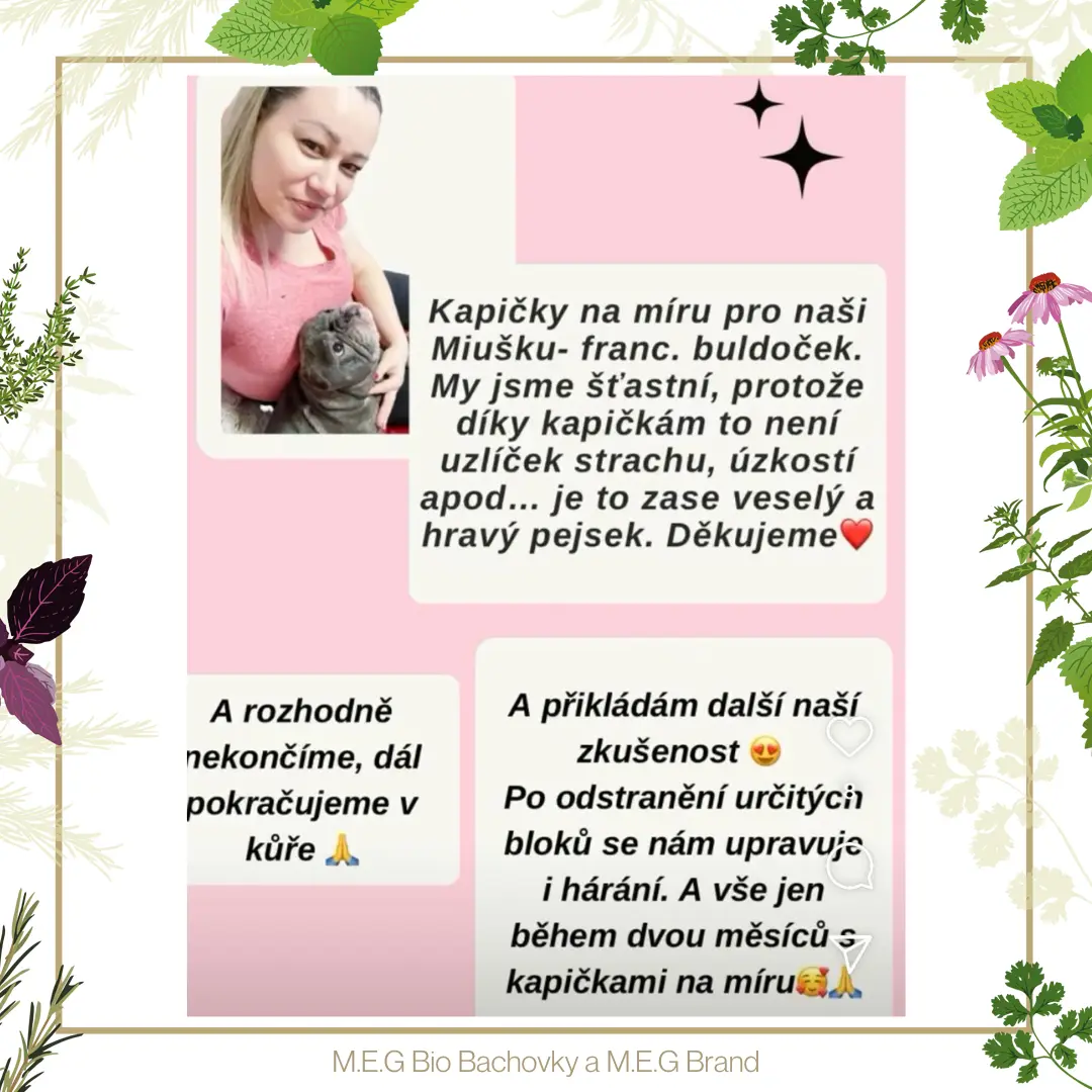 M.E.G Bio Bachovky pomohou odstranit negativní emoce, bloky, strach a stres u psů, koček a všech domácích mazlíčků.