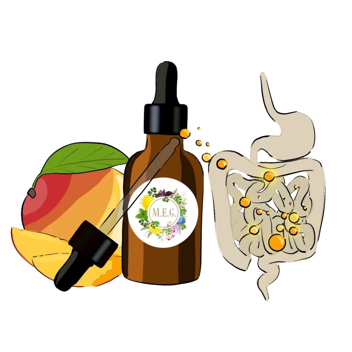 M.E.G Vitamín C s probiotiky a prebiotikem dodává střevu prospěšné bakterie, aby tělo mohlo fungovat, jak má.