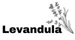 A levendulát kiváló természetes megoldásnak tartják az álmatlanság kezelésére és az alvás minőségének javítására.