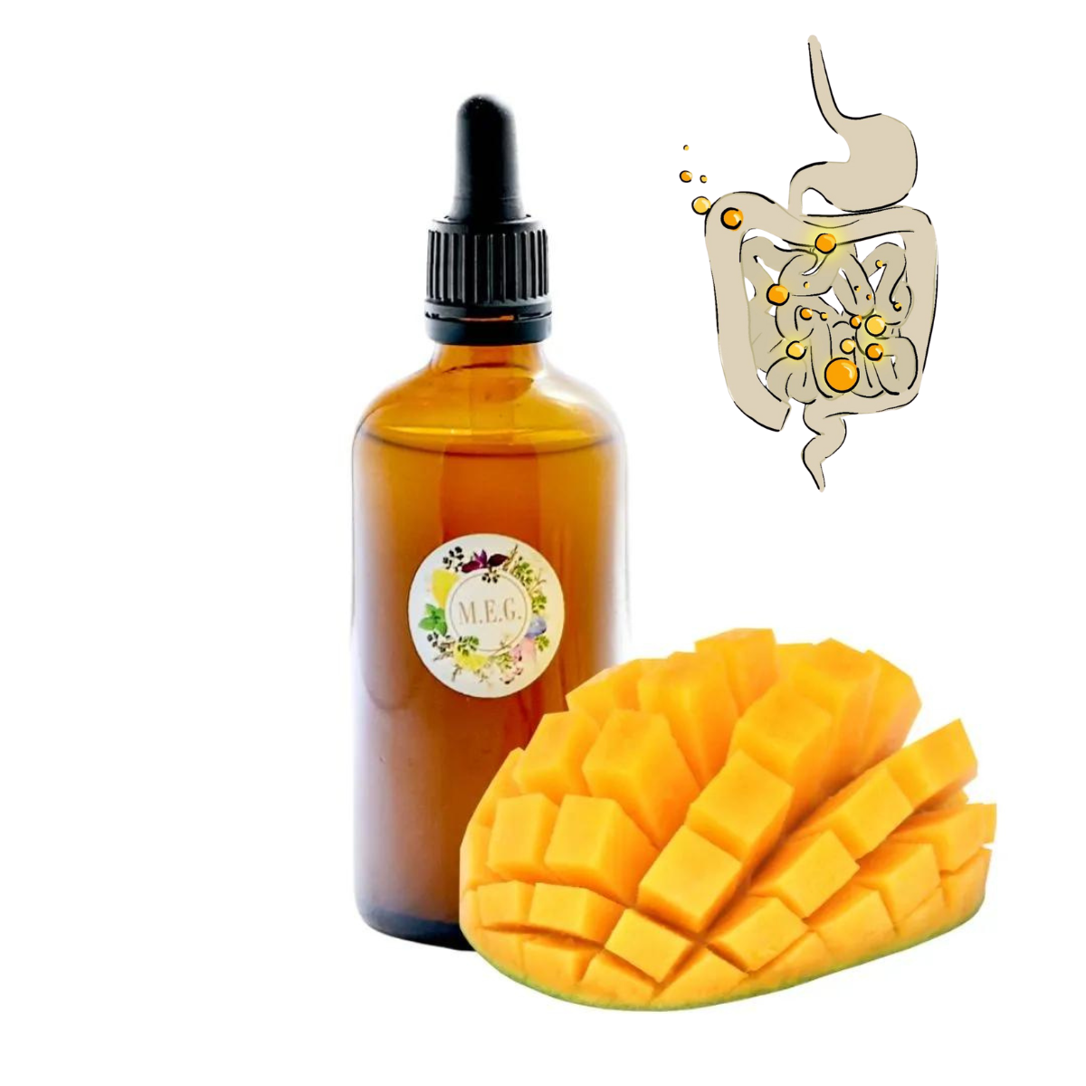 M.E.G Vitamín C s probiotiky a prebiotikem podpoří střevní mikroflóru, dodá energii, podpoří imunitu, aby tělo mohlo fungovat, jak má.