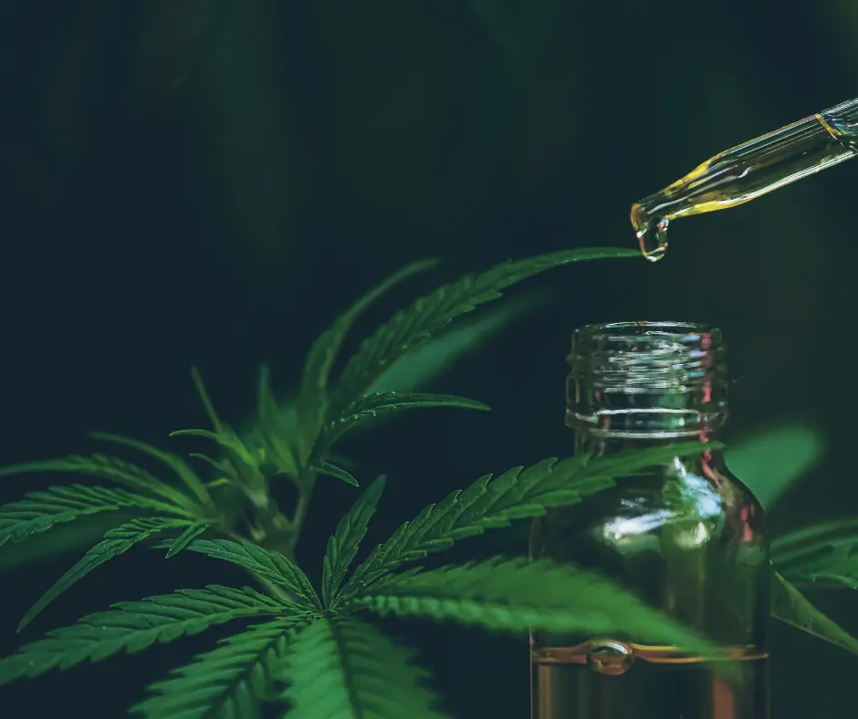 M.E.G Bio Bachovky odstraňují příčinu problémů narozdíl od CBD produktů, léků a alkoholu, které pouze tlumí samotné problémy.