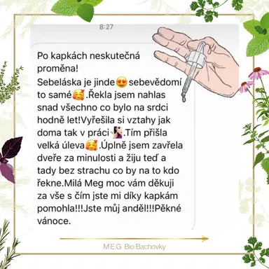 M.E.G Bio Bachovky pomohou odstranit traumata, bloky, negativní a potlačené emoce, díky kterým máme v sobě potlačenou sebelásku.